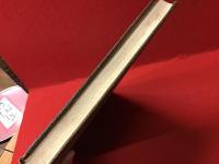 【洋書】The Satyrical : Drawing of Martin Van Maele マルティン・ファン・メーレ