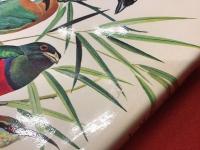【洋書】Birds Of the World 世界の鳥
