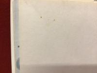 【洋書】Birds Of the World 世界の鳥