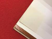 【洋書図録】Bustamante ジャン=マルク・ビュスタモント　※裏表紙角約6cm四方分切り取りあり、仏英併記