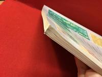 【洋書】Alfabeti Decorativi Di Tutti Ⅰ Tempi アルファベットの装飾文字　※伊語