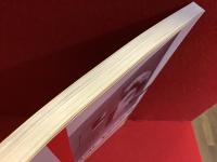 the wimar years   a culture cut short　英文　abbeville press版ソフトカバー　（ワイマール時代の短い文化）
