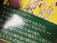 ひまわりは枯れてこそ実を結ぶ　※前見返しに署名入り