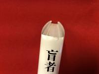 盲者の記憶 : 自画像およびその他の廃墟