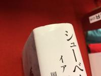 シューベルトの「冬の旅」