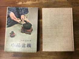 小品盆栽