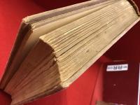 子を貸し屋 : 小説集