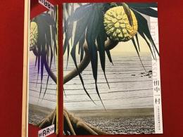 田中一村 : 千葉市美術館収蔵全作品