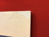 写真にみる浅草芸能伝