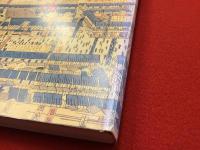 写真にみる浅草芸能伝