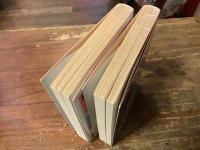 曖昧の七つの型　上下巻揃　＜岩波文庫＞