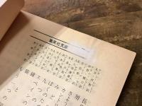 もう一つの国