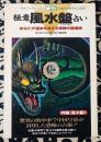 秘伝 極意 風水盤占い あなたが運命を変える奇跡の開運術