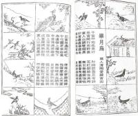 演禽　三世相法　詳細圖解