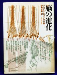 脳の進化