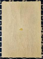 奇門遁甲活用秘儀