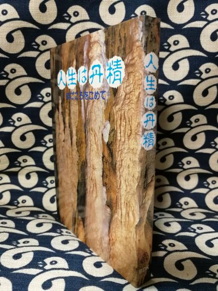 新説 阿頼耶識瞑想術 あなたの願望を叶える阿頼耶識の正体とは? / 古本  