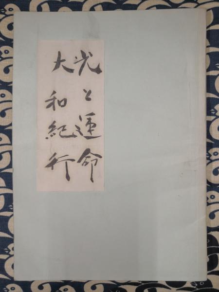 自殺者が語る死後の世界 中岡俊哉・緊急レポート ＜サラ