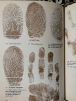 The Book Of The Hand : An illustrated history of Palmistry