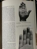The Book Of The Hand : An illustrated history of Palmistry
