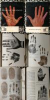The Book Of The Hand : An illustrated history of Palmistry
