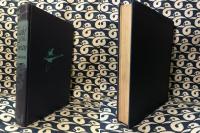 Flight of the swan;: A novel based on the life of Hans Christian Andersen