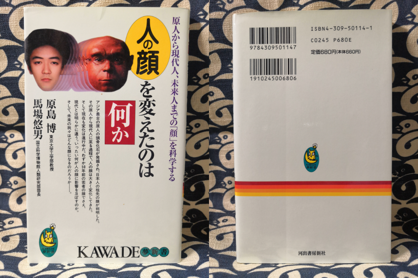 人の顔を変えたのは何か 原人から現代人、未来人までの「顔」を