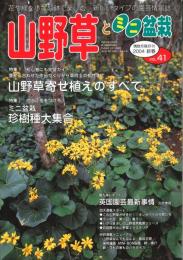 山野草とミニ盆栽　2004新春 Vol.41