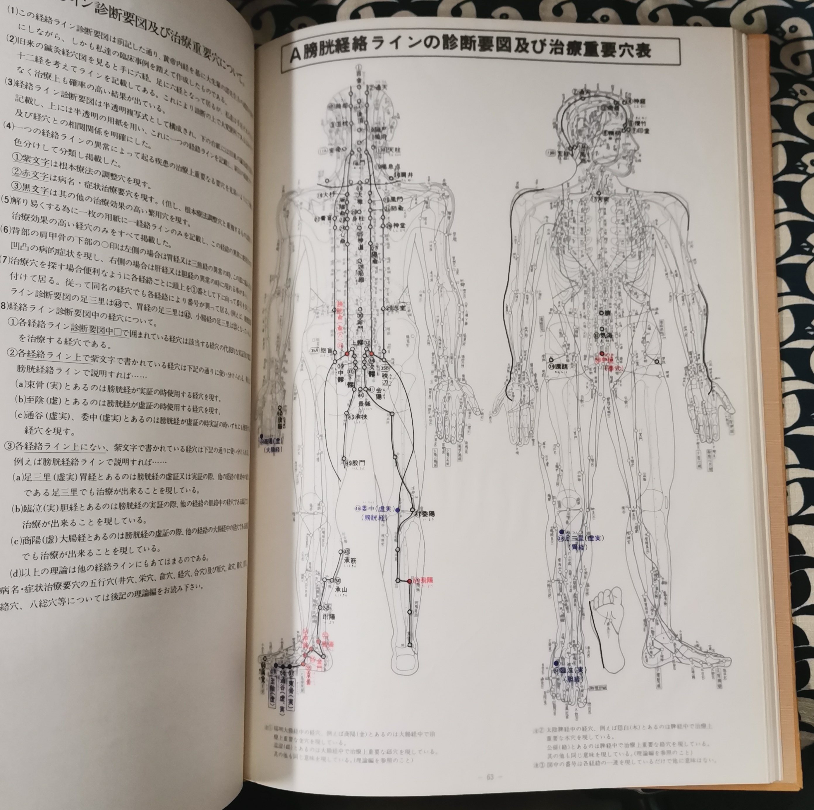 2024年のクリスマス 経絡五行理論 佐藤好司 経絡ライン治療鑑別早見表(升水達郎 健康・医学