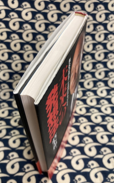 未来への発想法 : 「無欲の想念」が成功をもたらす　政木和三著 未来への発想法: 無欲の想念が成功をもたらす | 政木 和三 |本