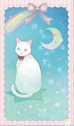 ドリーミングキャットタロット DREAMING CAT TAROT DECK