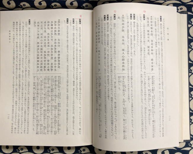 中古】（良い）新釈漢文大系〈13〉伝習録 （新釈漢文大系 13