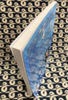 Buckland's Domino Divination