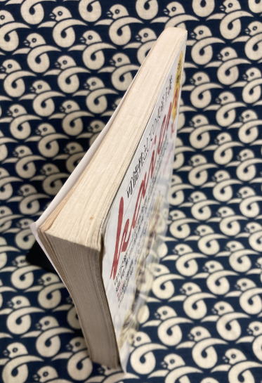 文芸雑誌 海燕 1994年10月号 特集：可能性としての共産主義