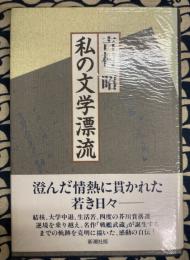 私の文学漂流