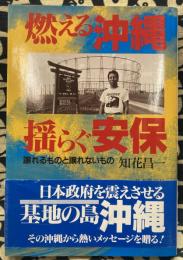 燃える沖縄 揺らぐ安保　譲れるものと譲れないもの