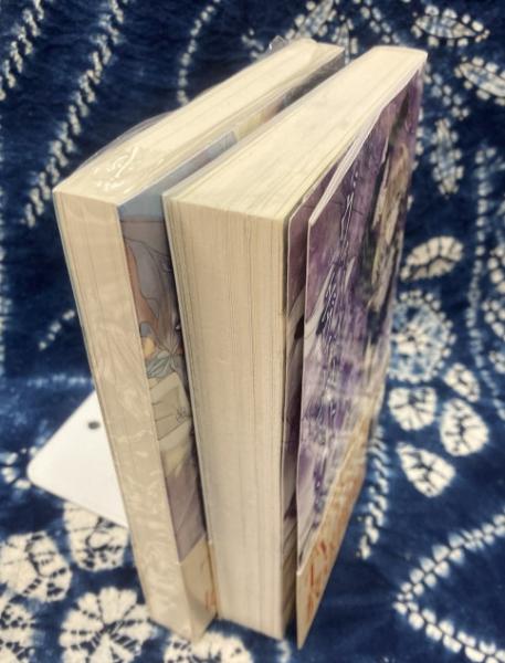 KAエスマ文庫 ヴァイオレット・エヴァーガーデン (上下）(暁 佳奈 (著