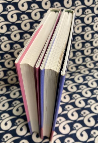 高次元科学 気と宇宙意識のサイエンス（1と2）2冊 | 関英男 | 中央