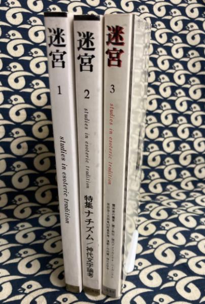 迷宮（全3冊）沈黙の文化の系譜と伝承を探る(武田洋一編 竹内健・金井 