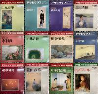 アサヒグラフ別冊　美術特集（不揃い12冊）