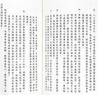 紫微演繹2　紫微神探