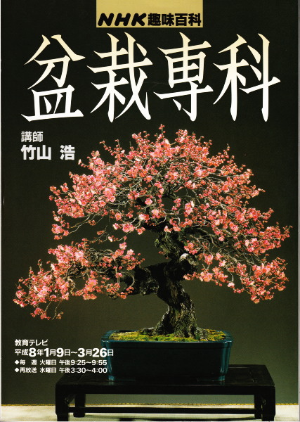 ナムチ 臥竜解封録 (ASCII COMIXアスキーコミックス)(高寺彰彦