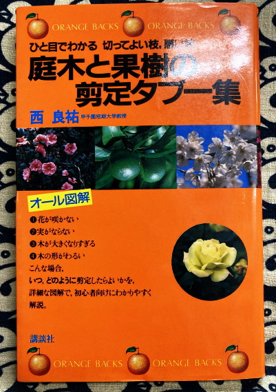 庭木と果樹の剪定タブー集―ひと目でわかる 切ってよい枝，悪い枝 (オレンジバックス) 西 良祐