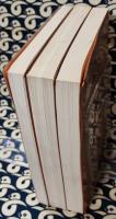 四柱推命学大奥極秘伝（全5巻3冊）