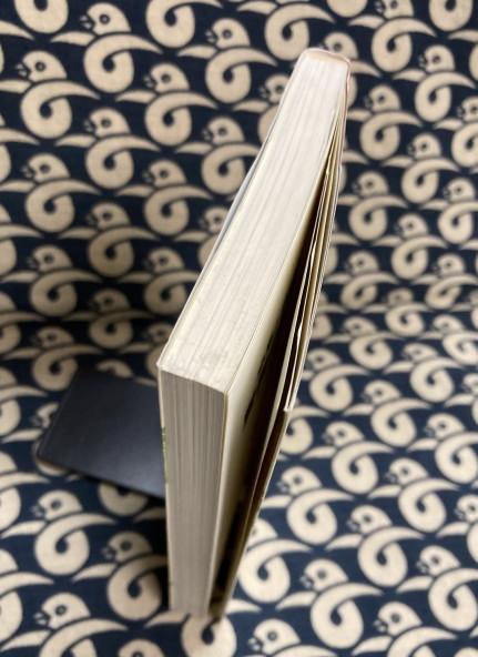 驚異の野菜スープ 長屋憲 驚異の野菜スープ： 必見!症状別の作り方 ガン、アトピー、脳卒中に