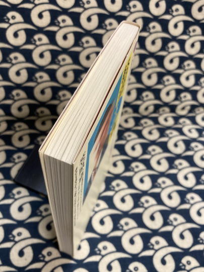 軽症うつ病 (講談社現代新書)(笠原 嘉) / 鴨書店 / 古本、中古本