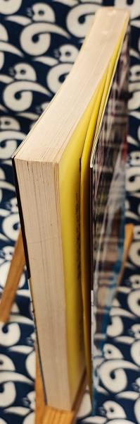 易入門 正しい易占の要領(柳下尚範) / 古本、中古本、古書籍の通販は