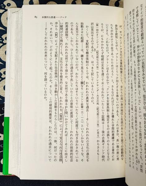 王の肖像: 権力と表象の歴史的・哲学的考察 (叢書