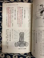 正しい墓相　知りたいことがすぐわかる