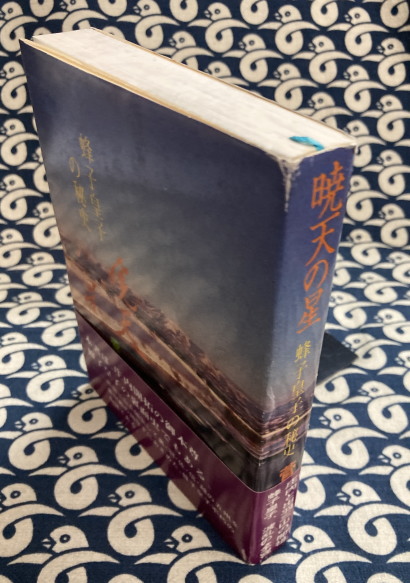 暁天の星 蜂子皇子の秘史(菅原大覚) / 古本、中古本、古書籍の